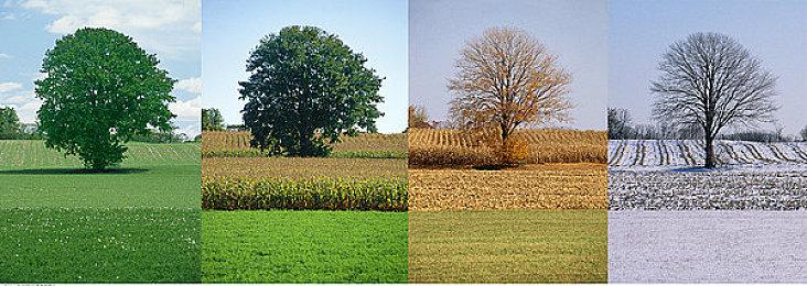 网易《七日世界》手游版本将于2025年4月上线