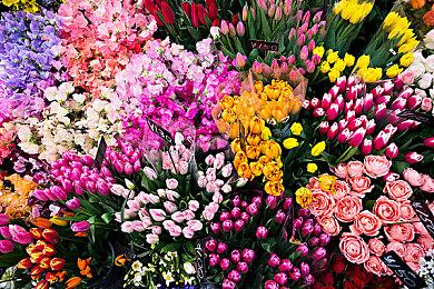 调查发现：需要联网的游戏高达70%最终将“死掉”